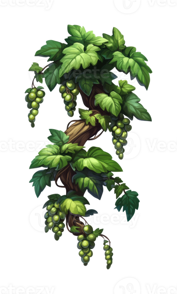 Lush grapevine illustration with green leaves and grapes png