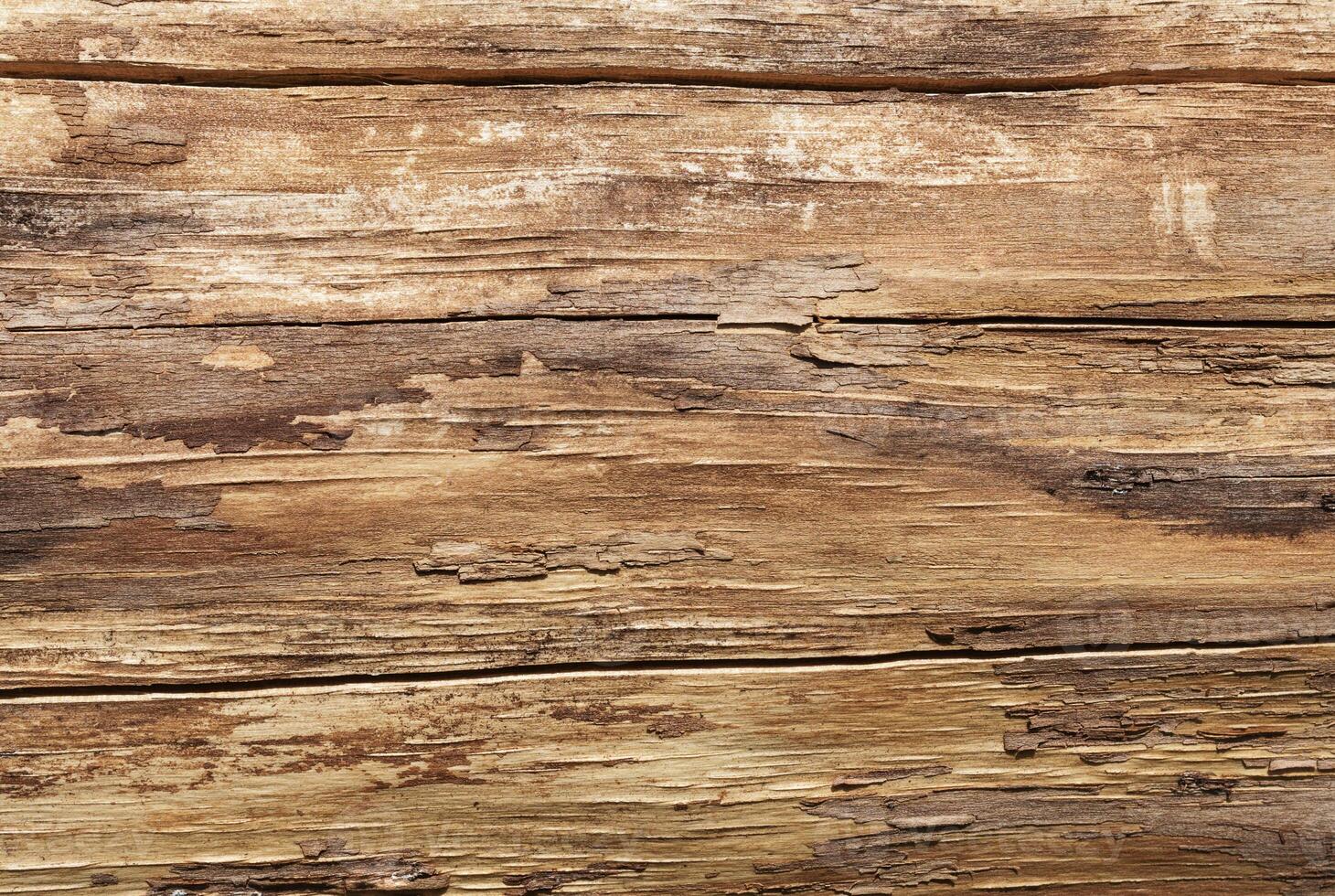 Dry cracked wood texture photo