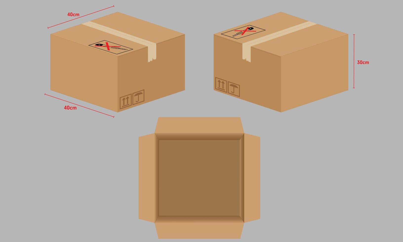 Carton Box Packaging vector