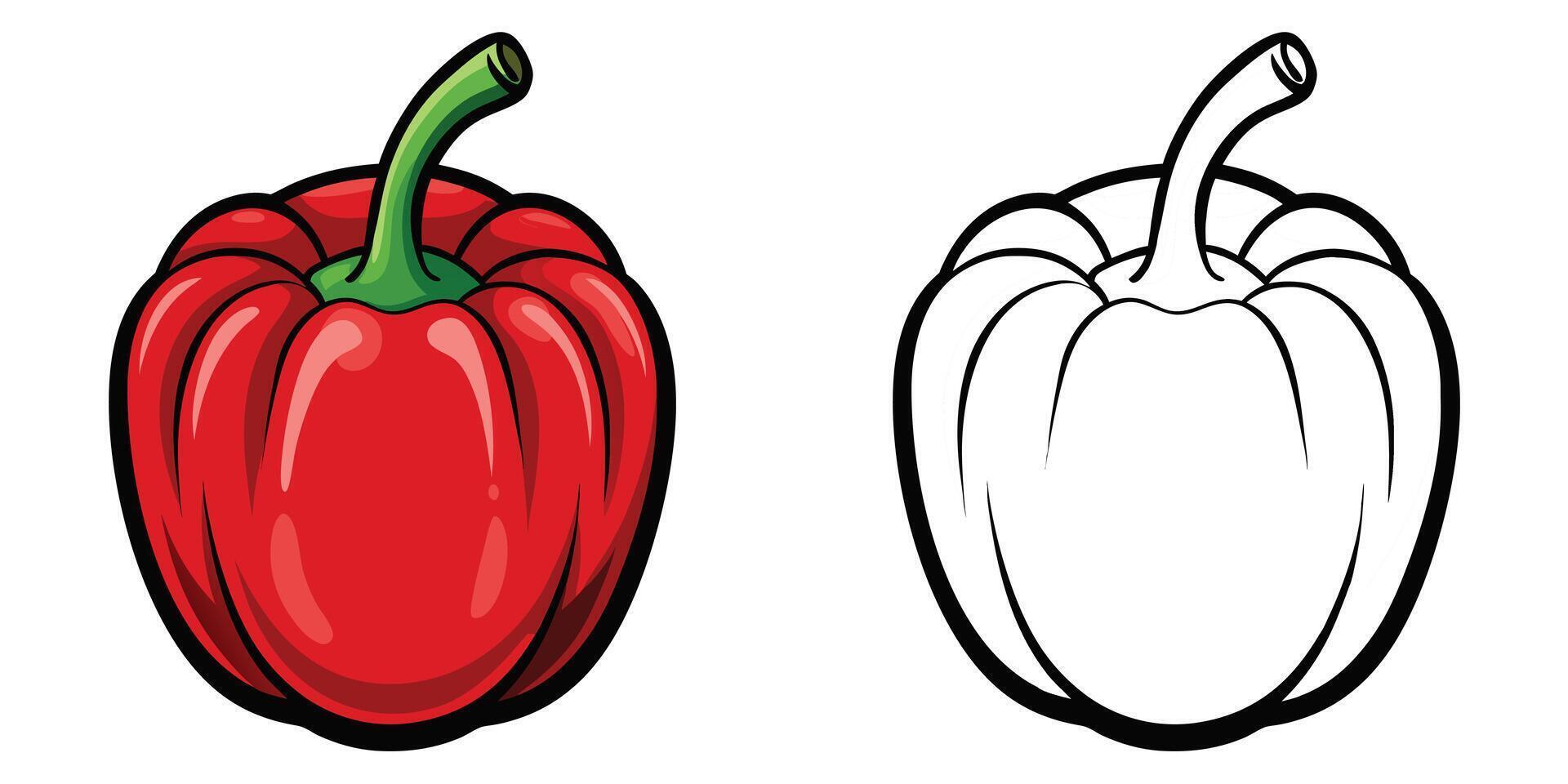 Red and white pepper, illustration vector