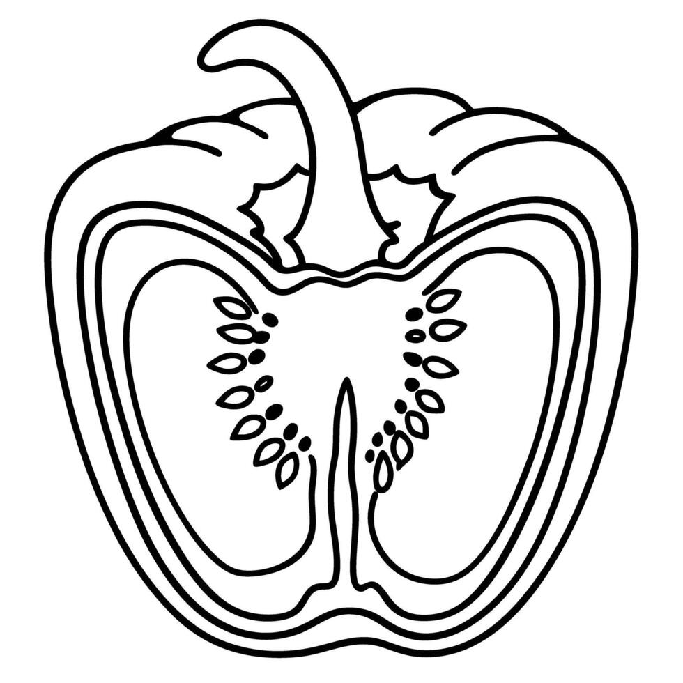 black and white bell pepper illustration with seeds and stalk, line art design vector