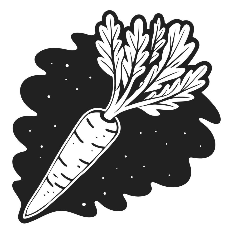 Black and white carrot illustration with detailed leaves and outline vector