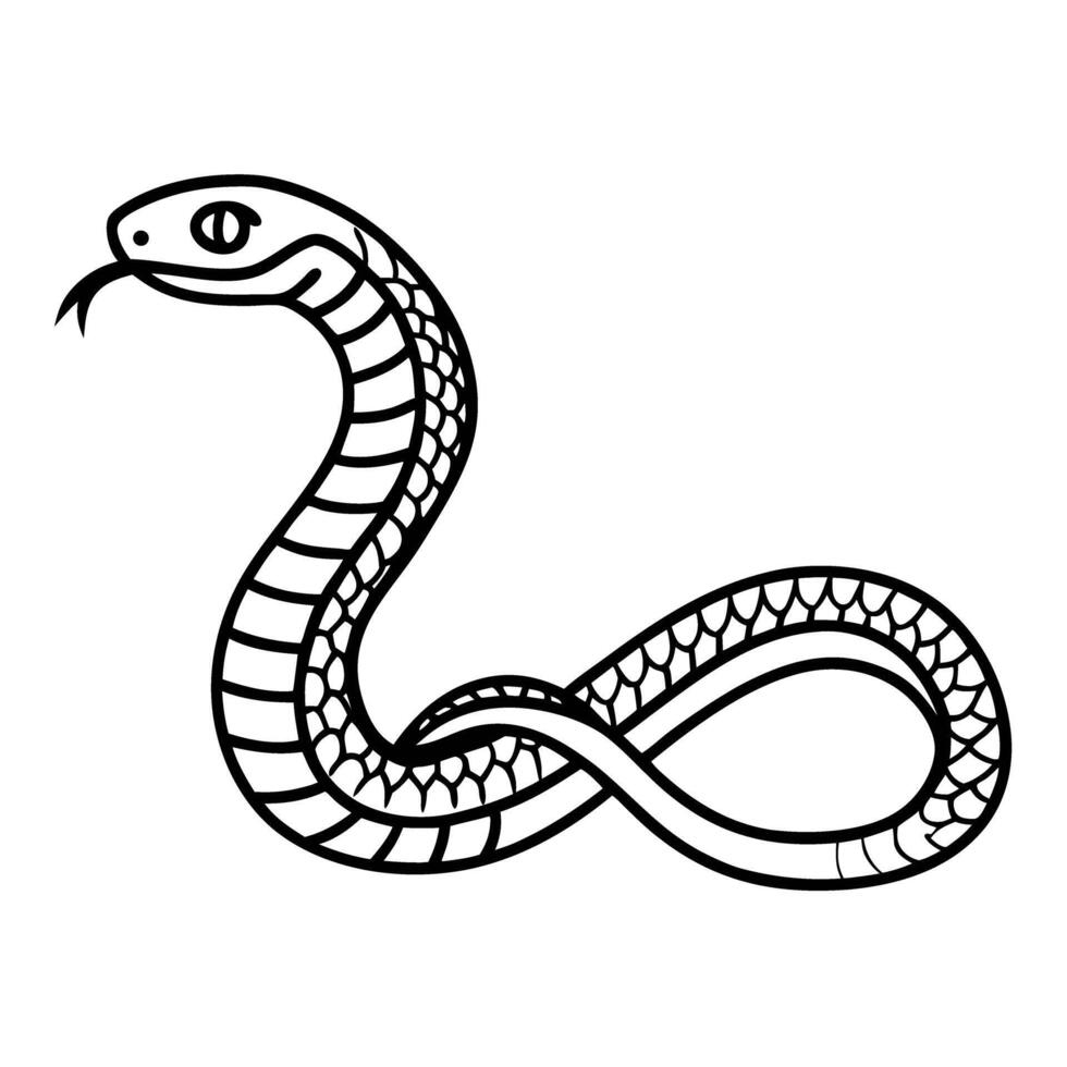 Illustrated snake outline black and white serpent, simple reptile illustration, linear drawing vector