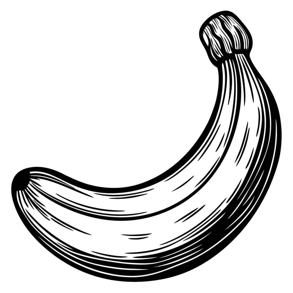 black and white banana illustration detailed sketch of a single banana, hand drawn style, fruit art vector