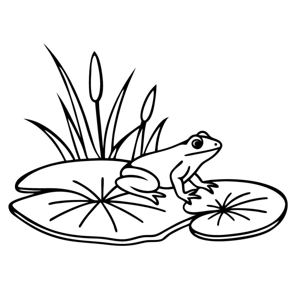 frog on lily pad in pond simple black and white line drawing of amphibian and aquatic plants vector