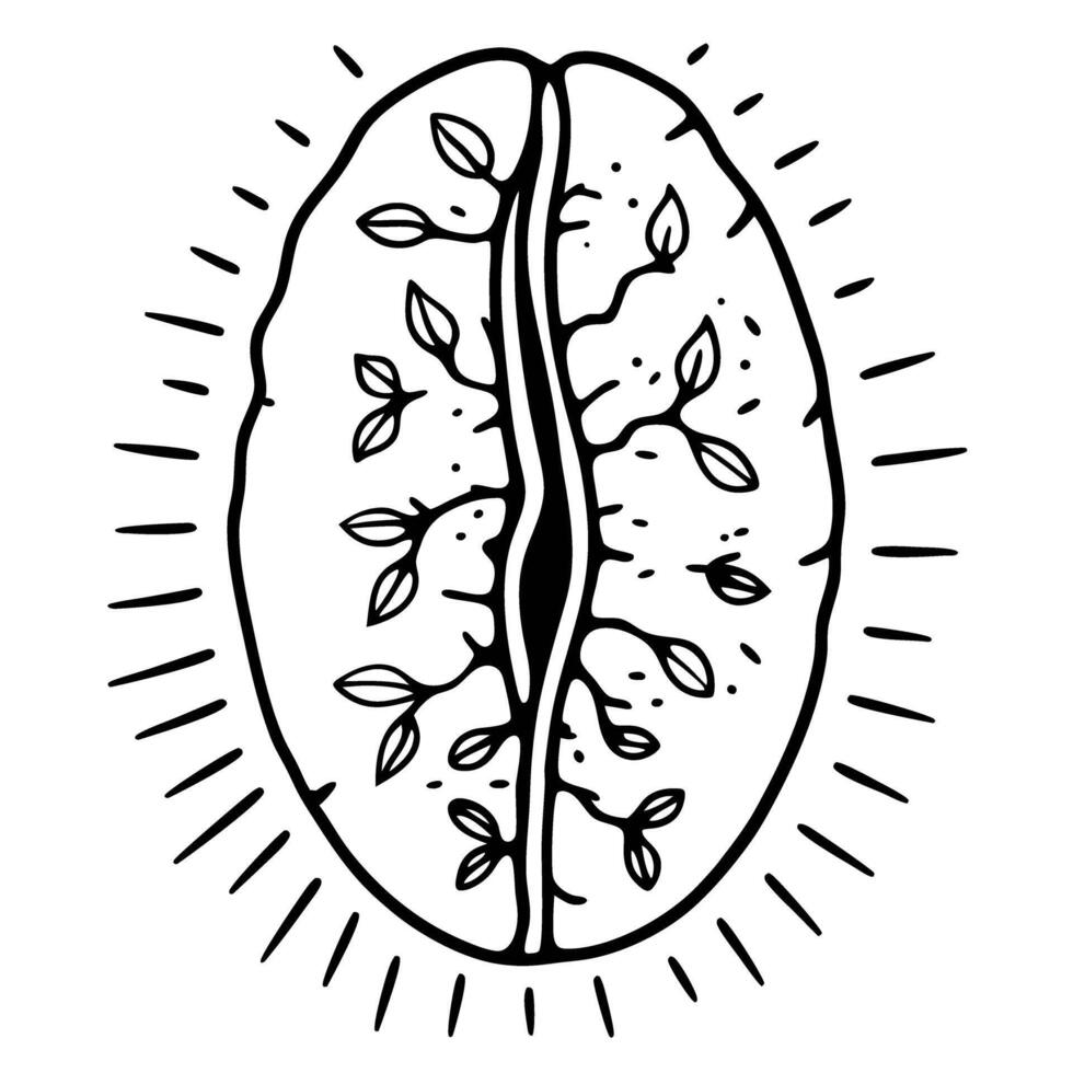 abstract coffee bean art with plant motifs and radiant design illustrative botanical pattern vector