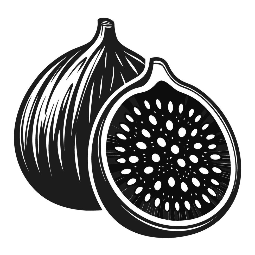 Black and white illustration of whole and sliced figs with detailed texture vector