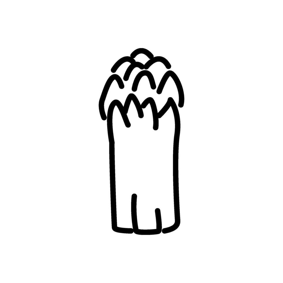 Upright asparagus cluster line icon vector