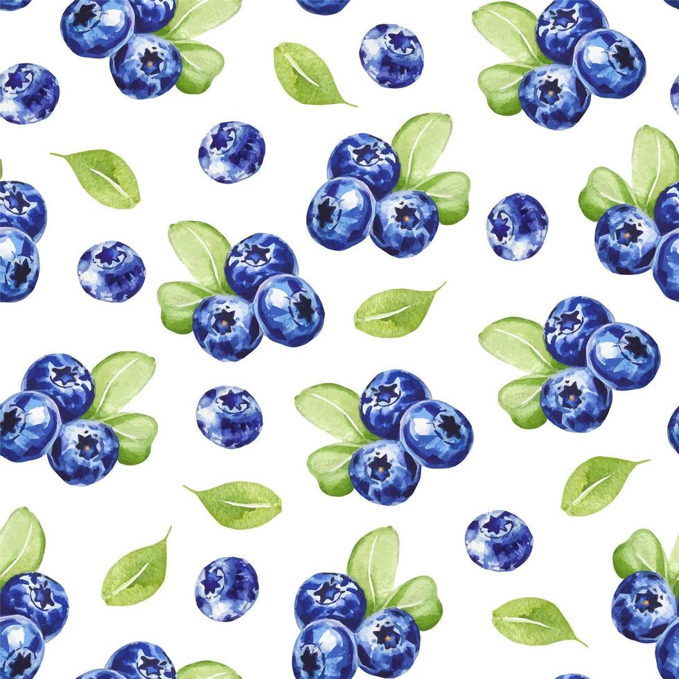 Watercolor seamless pattern with blueberries and green leaves botanical berry background vector