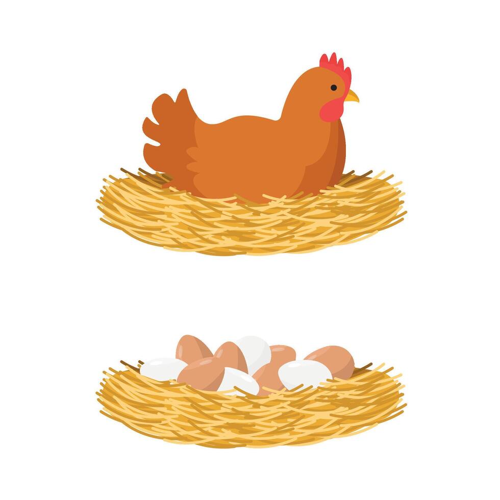 Icon with a chicken in a nest and an icon with chicken eggs on a white background. Farm product. vector