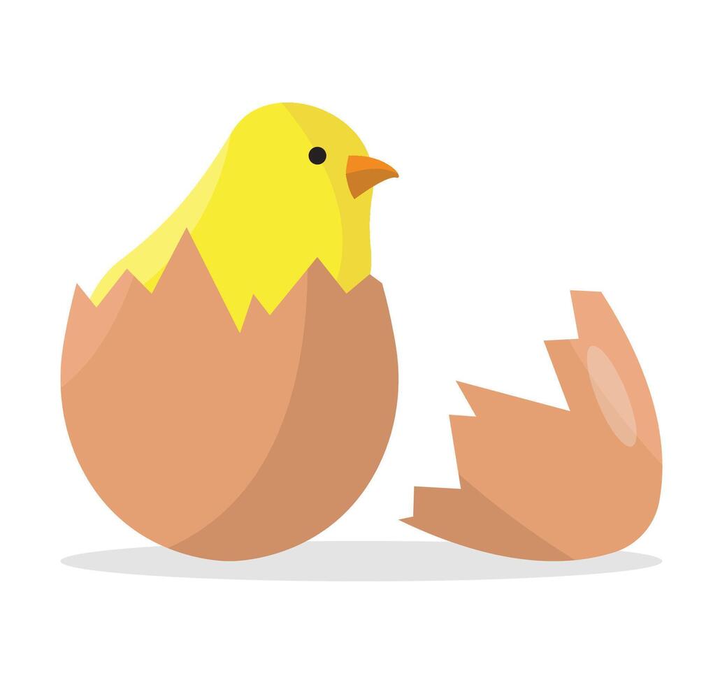 Icon of a hatched chicken from an egg on a white background. vector