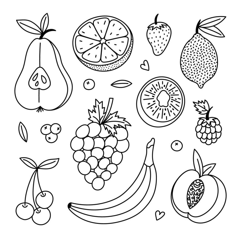 Lovely outline set with juicy tasteful fruits and berries. Hand drawn doodle of pear, kiwi, peach, lemon, orange for design, social media, print. Tropical ripe fruit full of vitamins collection. vector