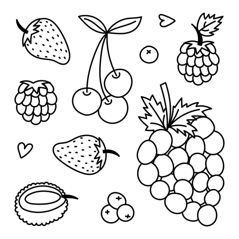 Lovely sketch set with summery and autumn fruit and berries. Hand drawn doodle of grape, strawberry, cherry for poster, design, social media, print. Healthy yummy food collection isolated on white. vector