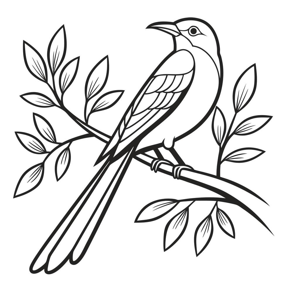 Elegant Mockingbird Perched on a Branch with Leaves Black and White Line Art vector