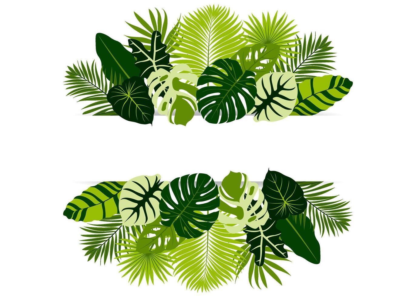 Tropical banner arranged from exotic emerald leaves. Paradise plants, greenery and palm card. Frame. illustration vector