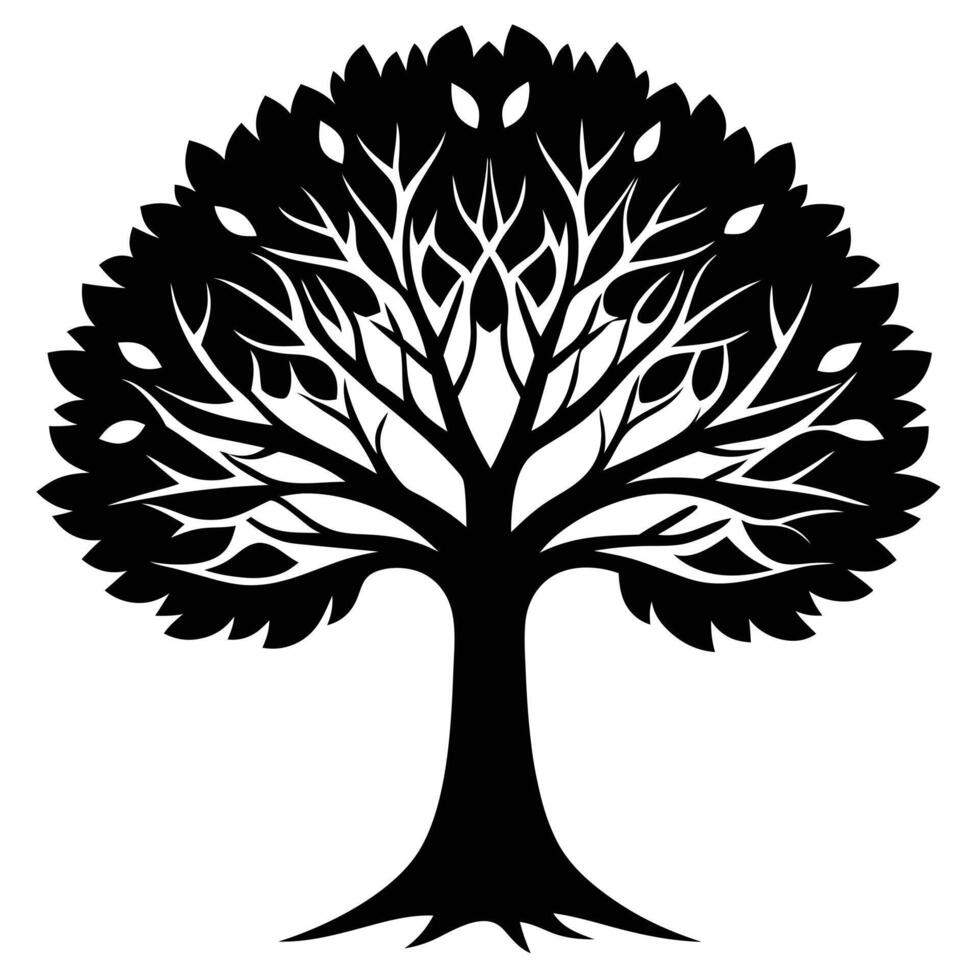 Sycamore tree on white background vector