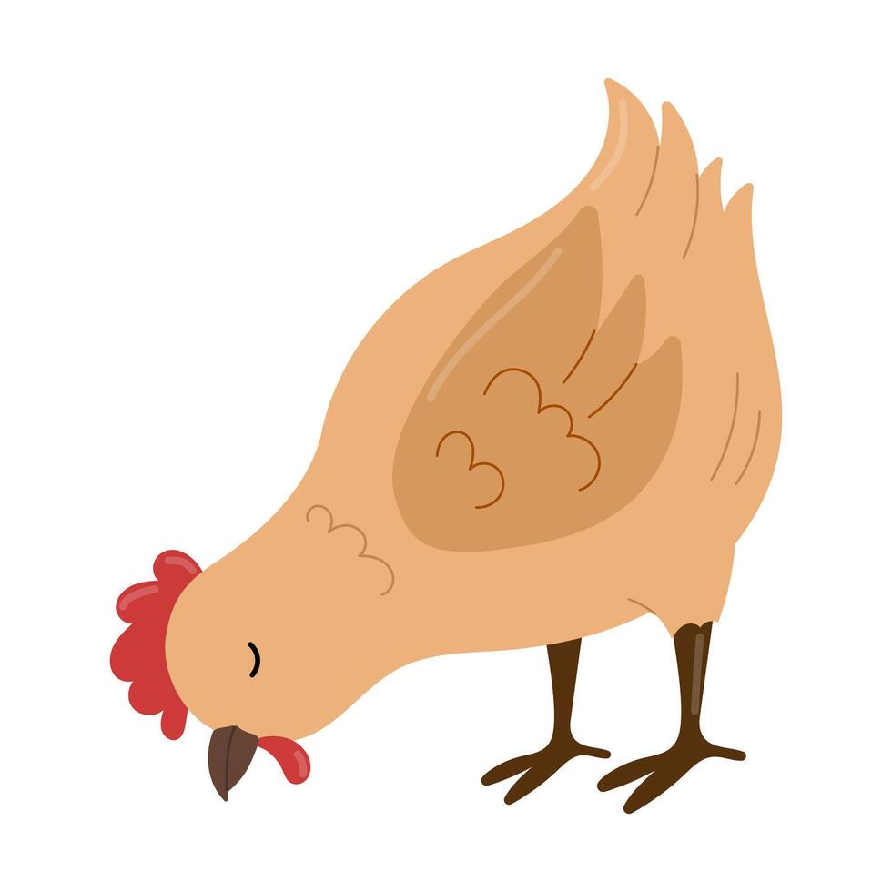 Hen leaned over to eat. vector