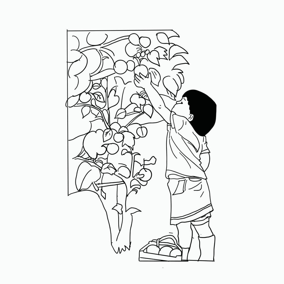 black and white line. little boy picking apples from the tree. Cartoon Style Illustration vector
