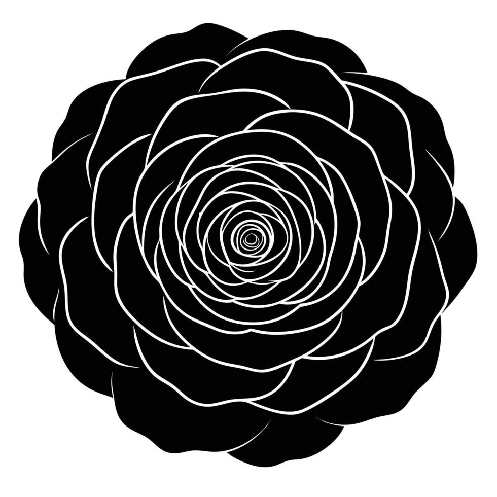 A black and white flower with a spiral in the center vector