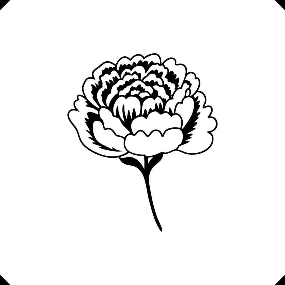 Intricate Blooming Flower - Multi-Layered Petal Structure, Elegant Line Art, Thin Stem for Balanced Composition vector