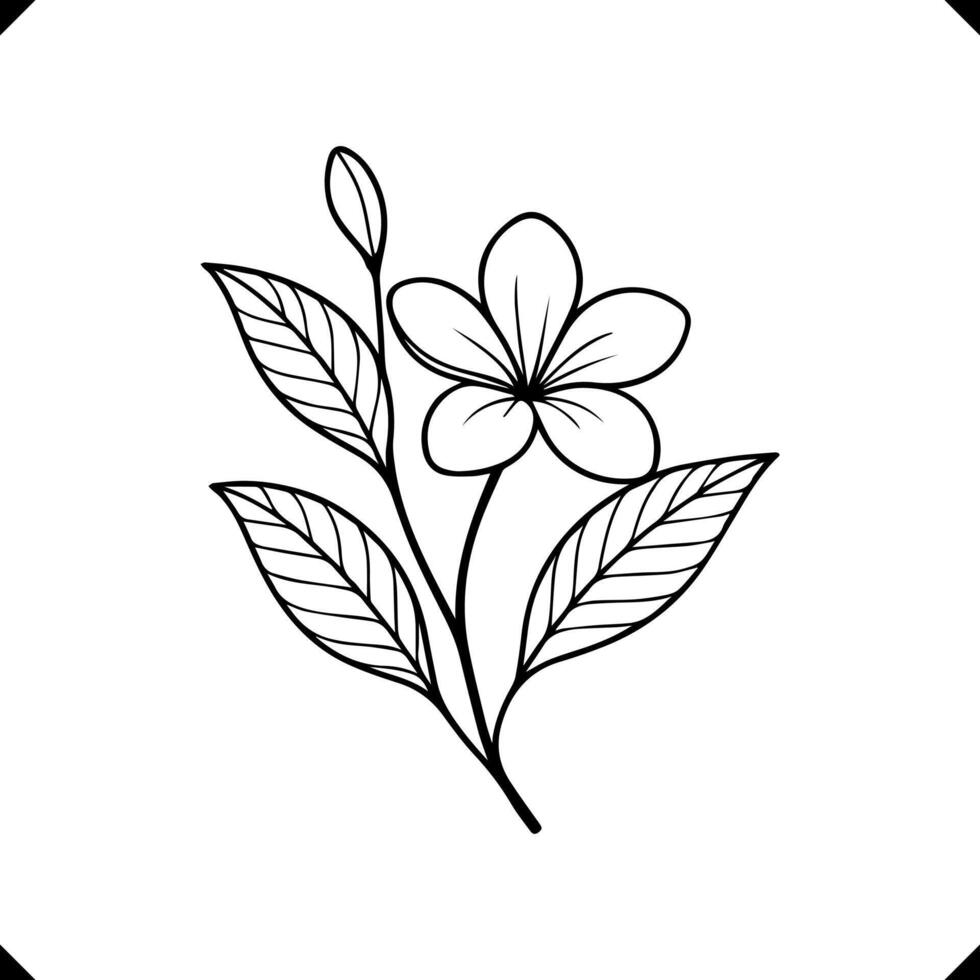 Plumeria Flower silhouette - Central Marking, and Slender Stem in Elegant Line Art vector