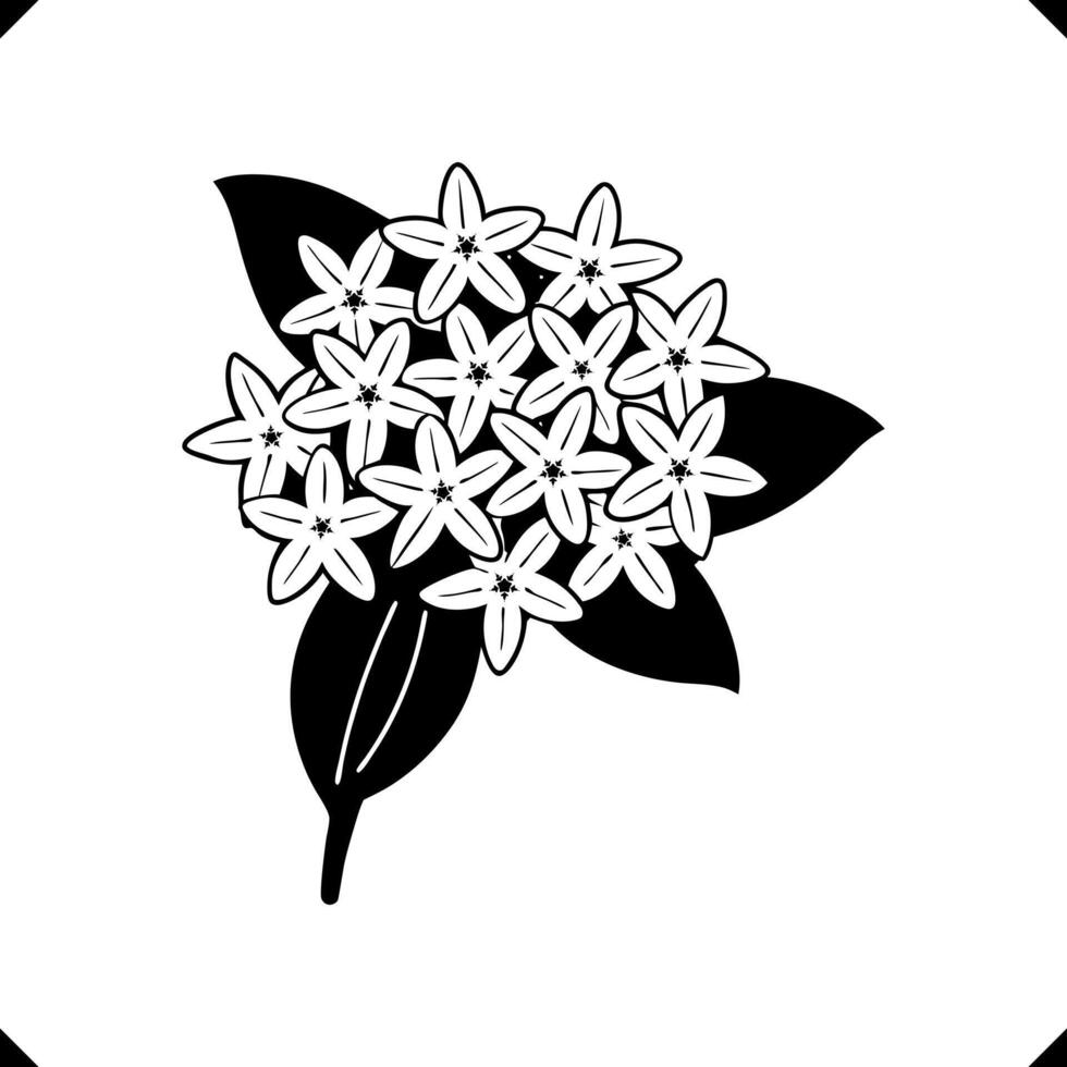 Bokul Flower - Three Layered Blooms with Intricate Petal Details, Slender Stems, and Serrated Leaves in Elegant Line Art vector