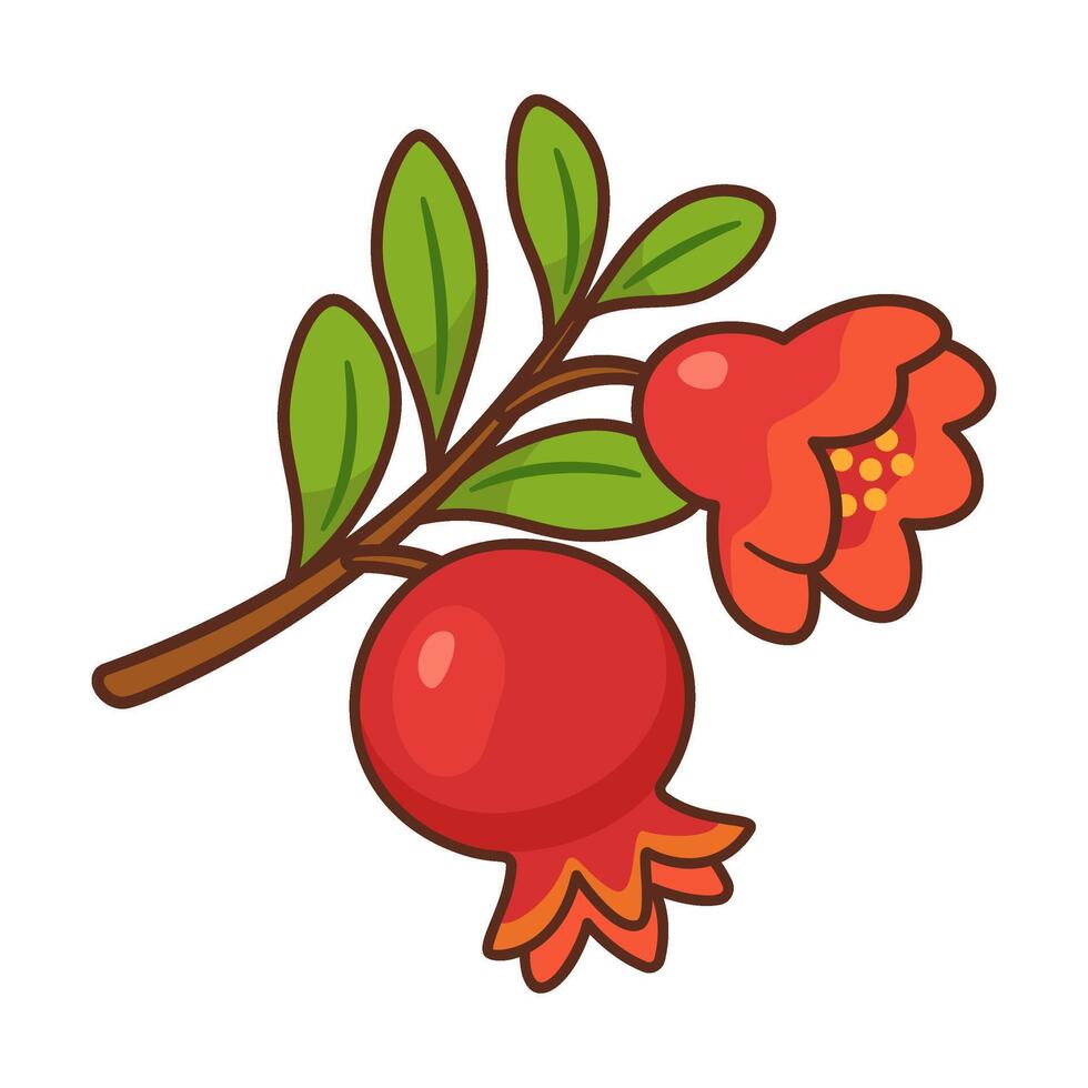 Pomegranate branch with fruit and bright red flower. Hand drawn flat style with bold outlines. For food packaging, healthy food, recipe books, nutrition blogs, product labels, menu, seasonal designs. vector