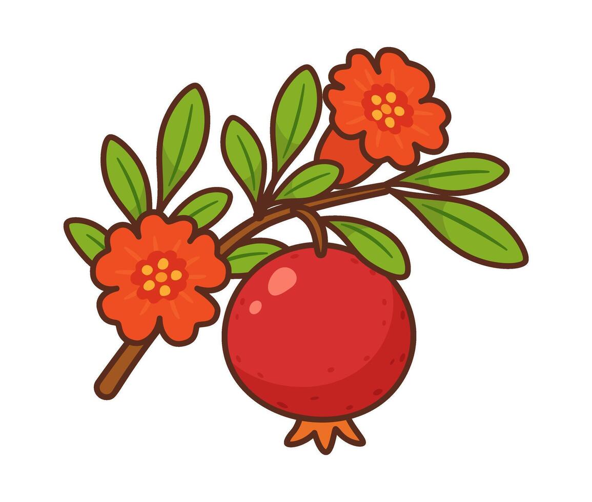 Pomegranate branch with fruit and bright red flower. Hand drawn flat style with bold outlines. For food packaging, healthy food, recipe books, nutrition blogs, product labels, seasonal designs. vector