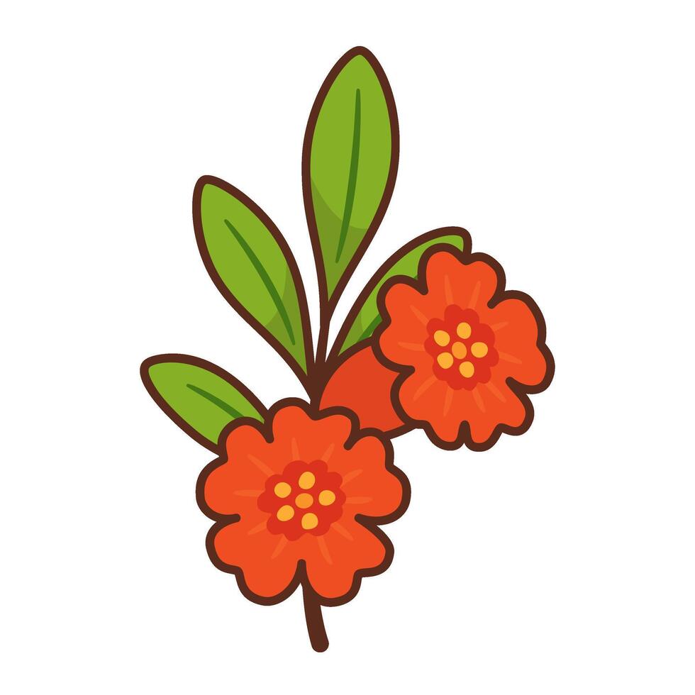 Pomegranate branch with bright red flower. Hand drawn flat style with bold outlines. For food packaging, healthy food, organic branding, nutrition blogs, labels, seasonal designs and greeting cards vector