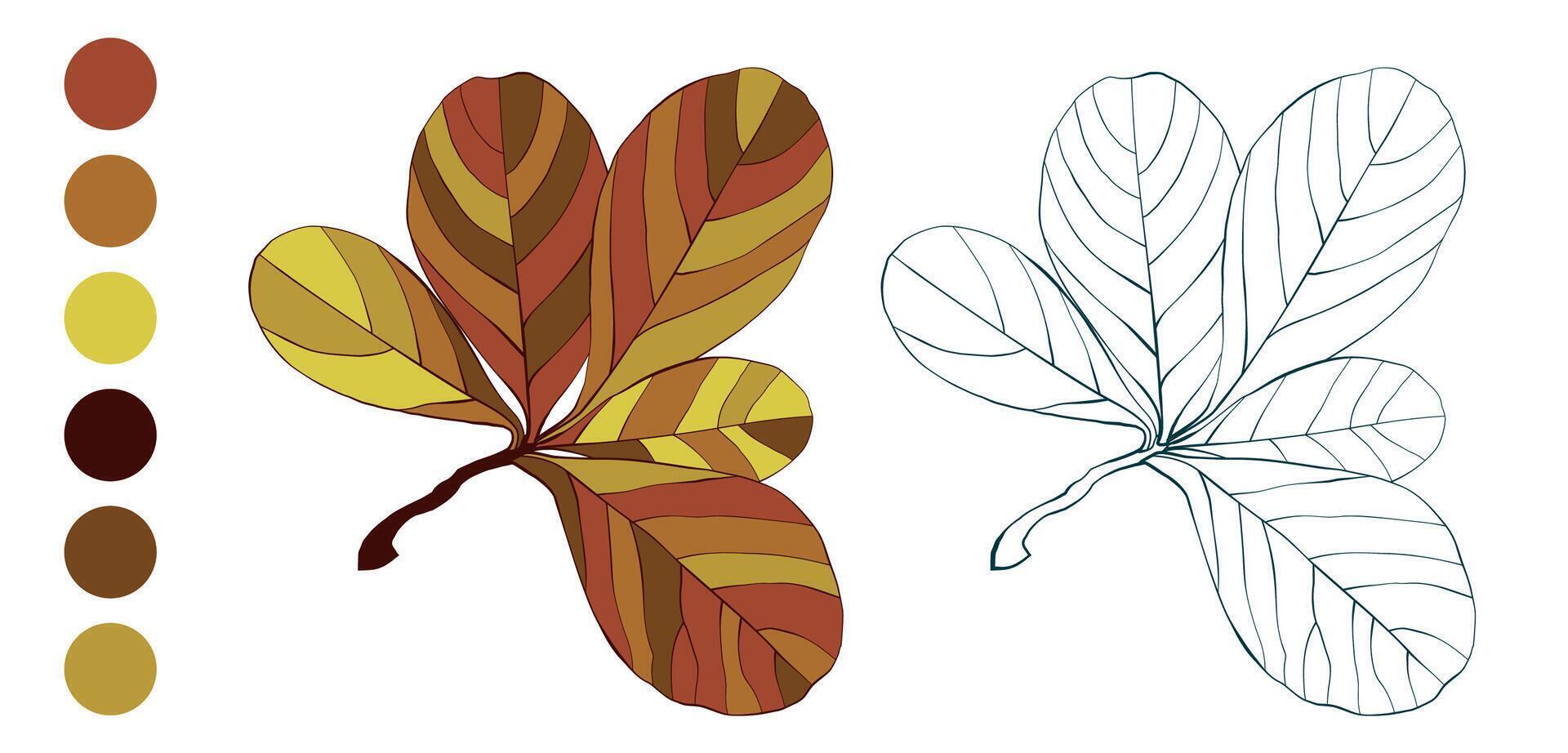 Set of hand-drawn fall colorful autumn leaves isolated on white background. Flat and line styles illustration. vector