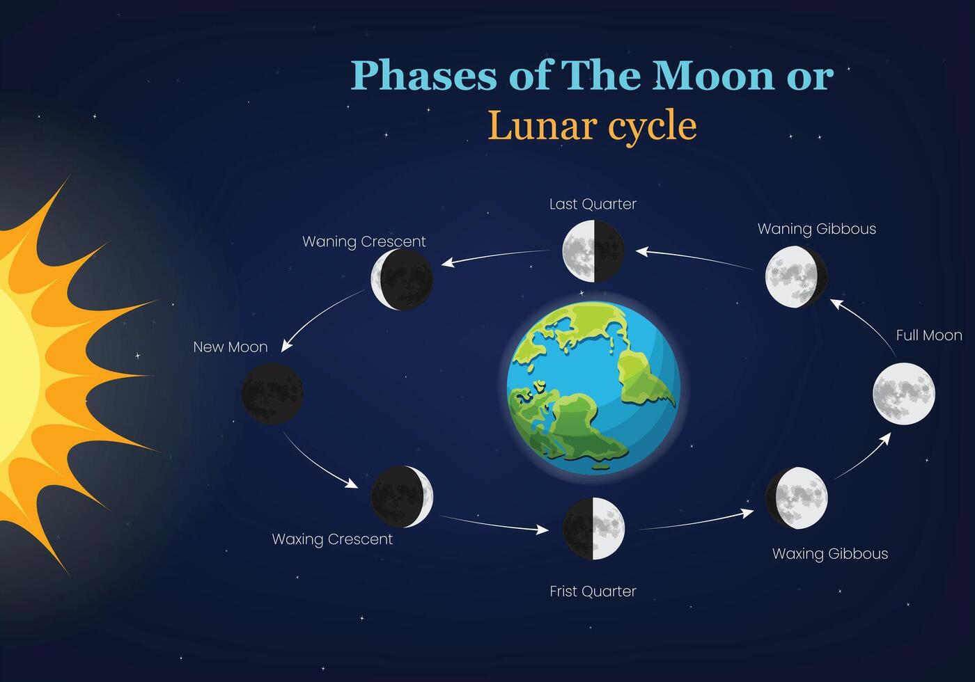 Moon Phases and Lunar Cycle Illustration with Earth and Sun vector