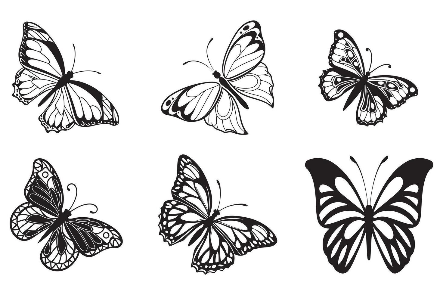 Intricate Butterfly Wings Artwork vector