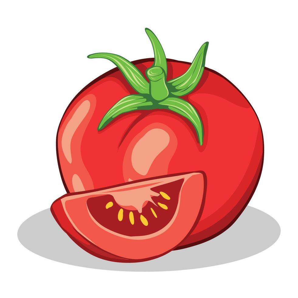 Tomato illustration for graphic design vector
