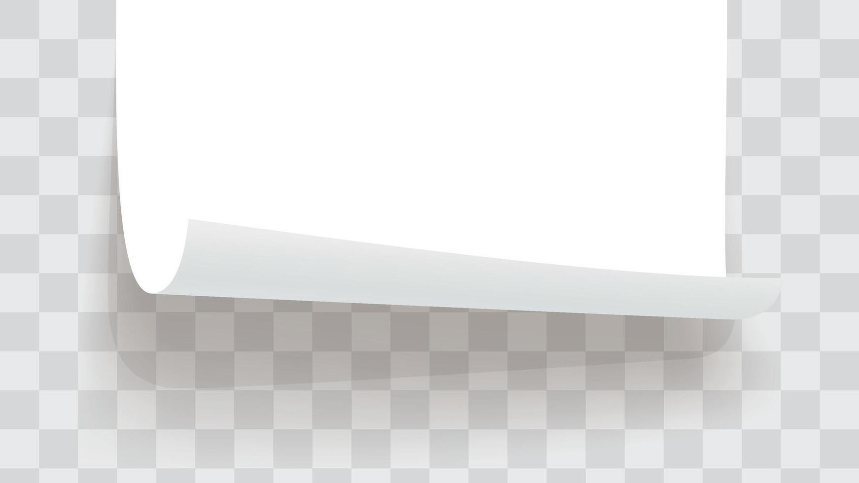a paper bottom rolled on template back vector