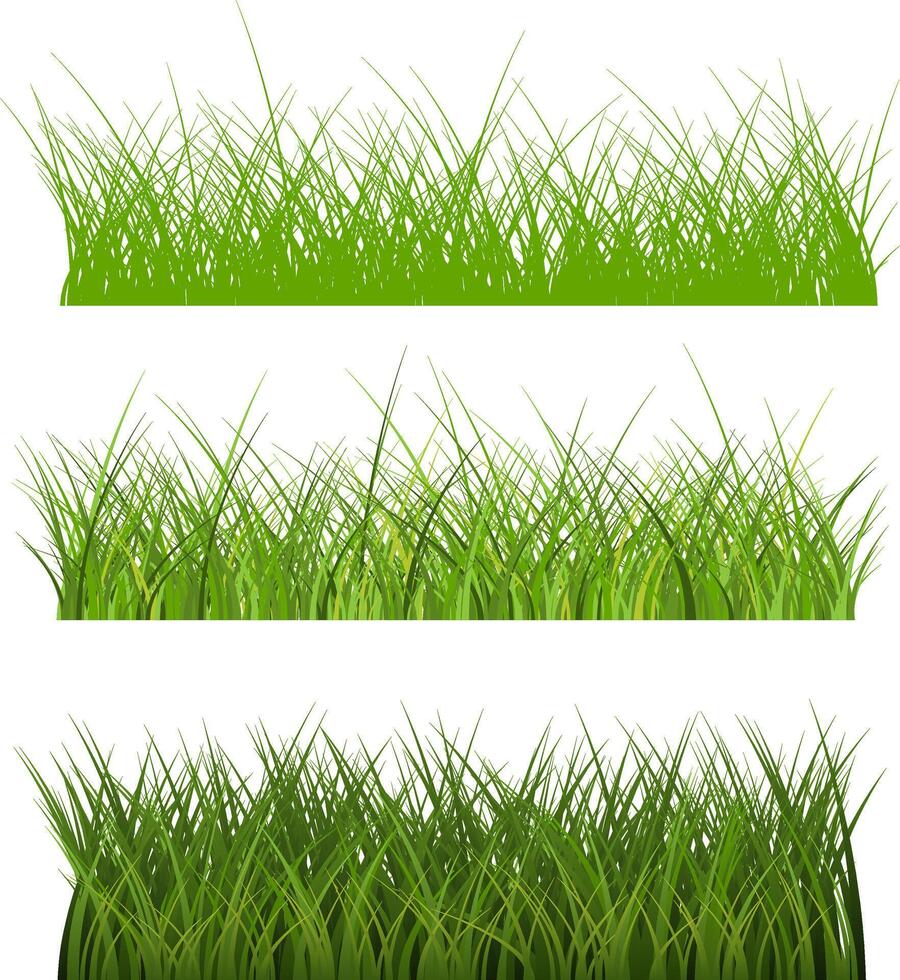 Green grass illustration isolated vector