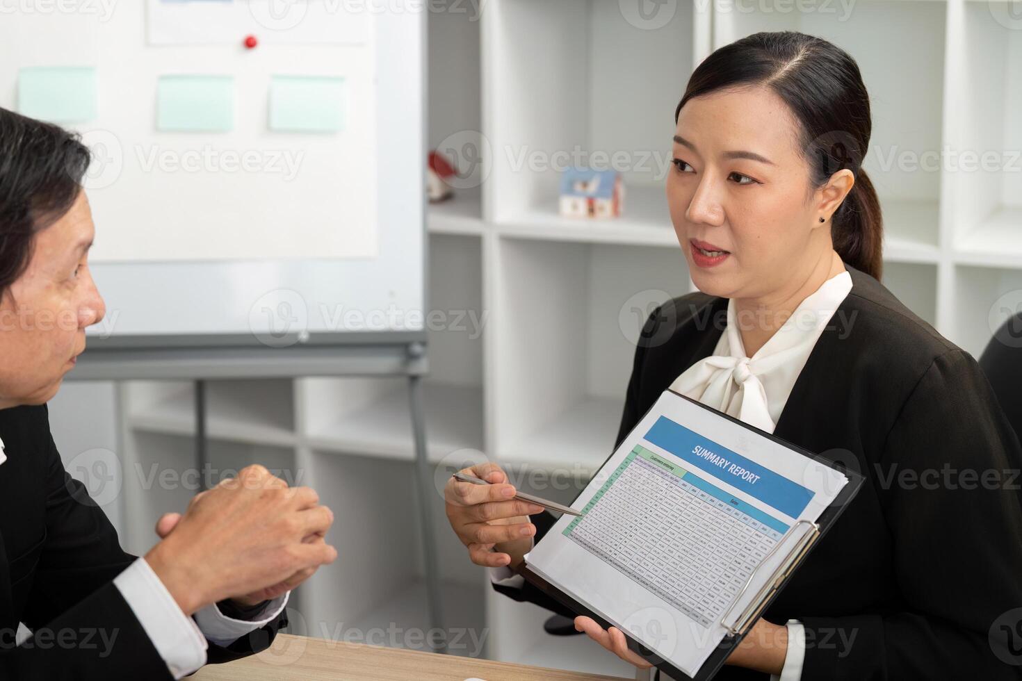 Professional Presentation of Financial Summary. Consultant explaining report. photo