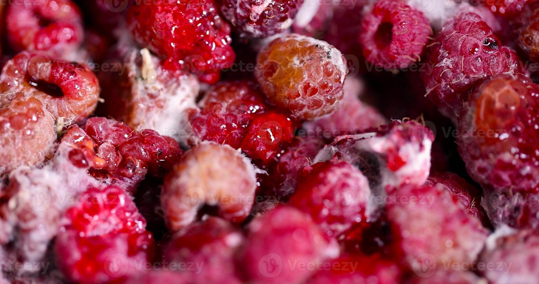 spoiled food products naturally grown raspberries, closeup photo