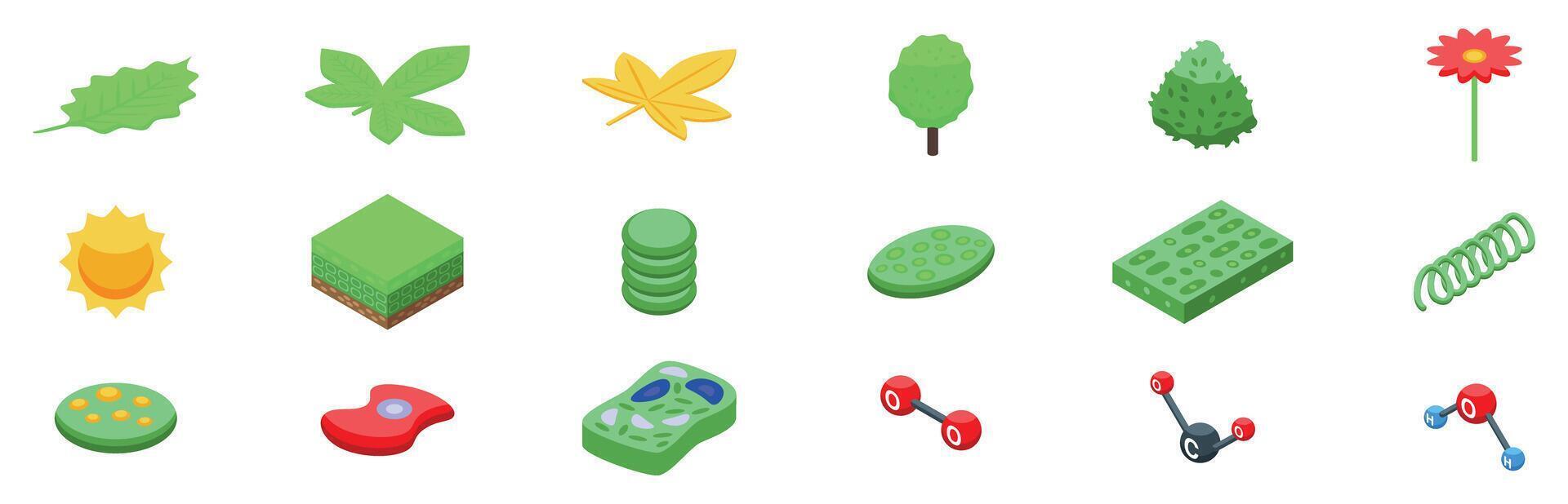 Chloroplast photosynthesis icons set. Photosynthesis process showing sunlight, leaves, molecules and plant cells vector