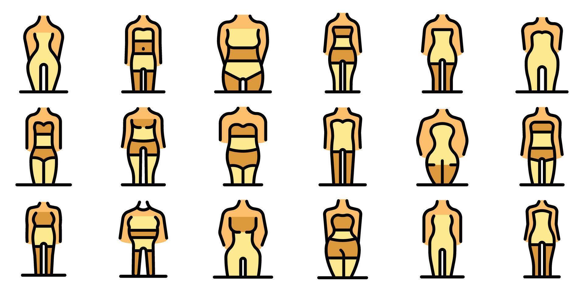 Woman body shape figure type modeling representing different female body forms vector
