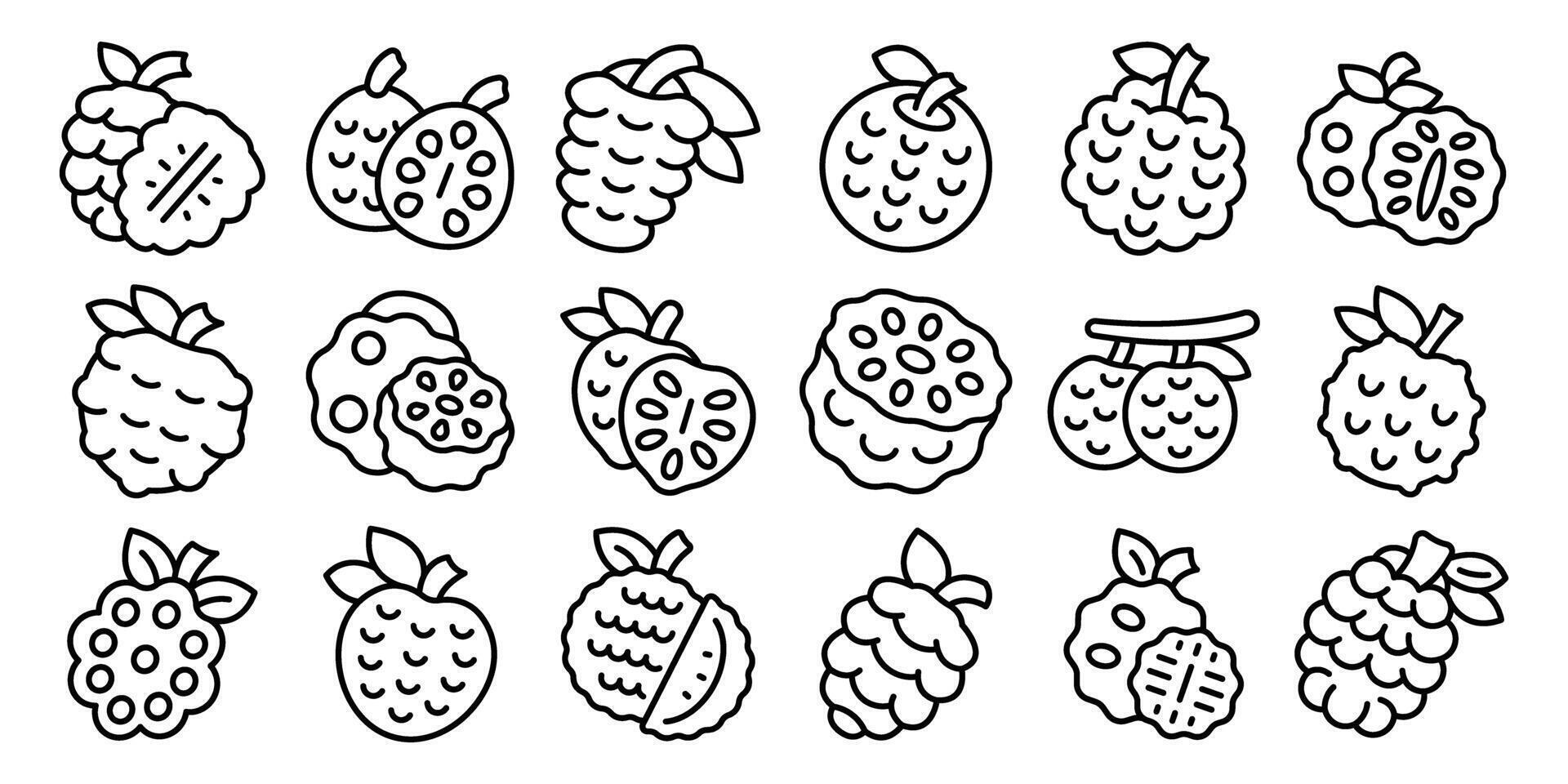 Custard apple icons set. Sugar apple icons showing exotic fruit with leaves and seeds vector