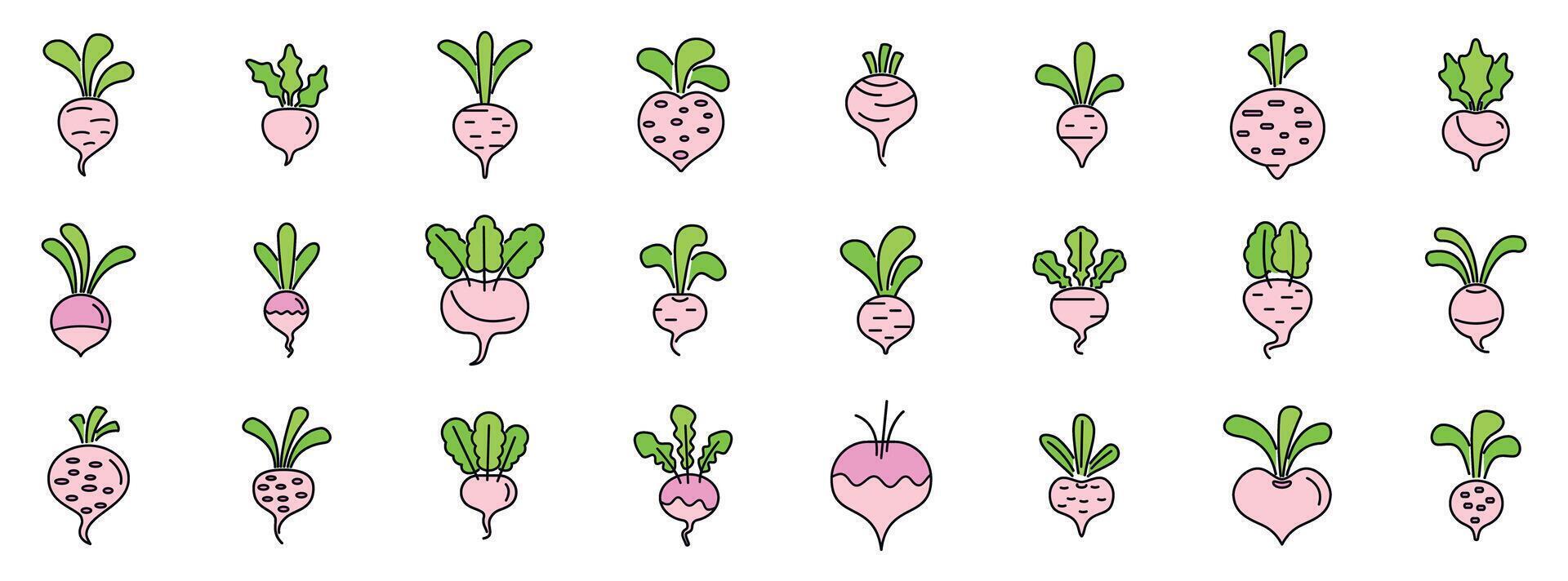 Set of turnip icons showing different styles and variations vector