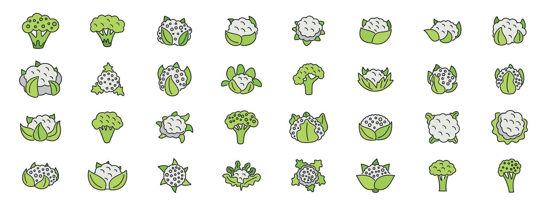 Fresh green broccoli and cauliflower icons representing healthy eating and vegetarian lifestyle vector