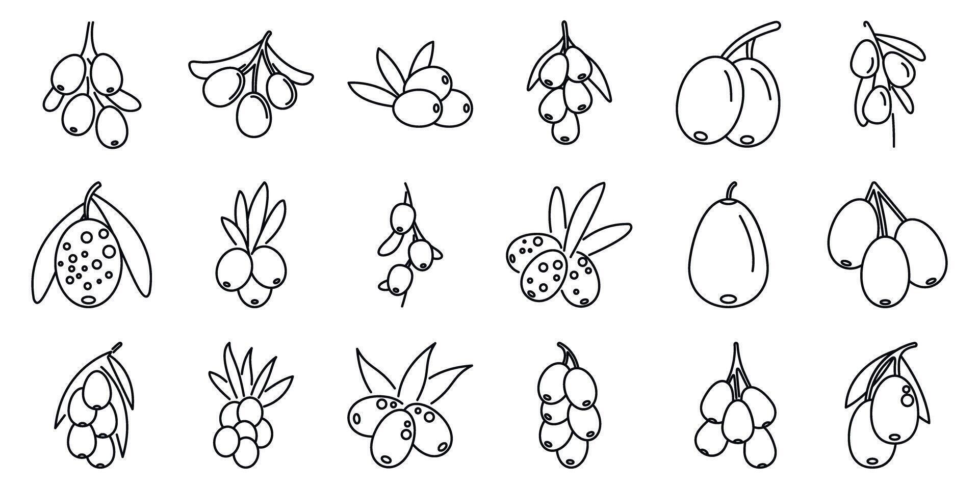 Sea buckthorn icons set. Sea buckthorn icons showing berries growing on branch with leaves vector