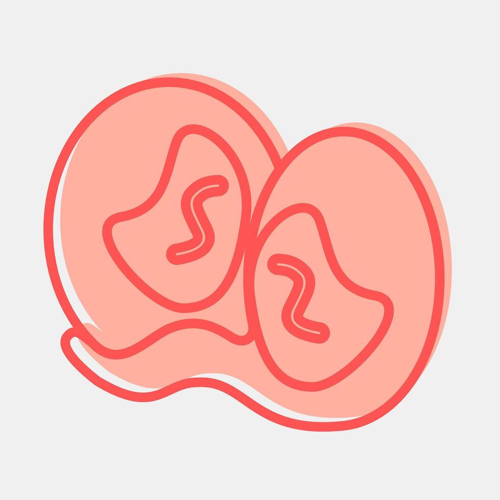 Icon gemini the twins. Zodiac horoscope elements. Icon in two tone style. vector