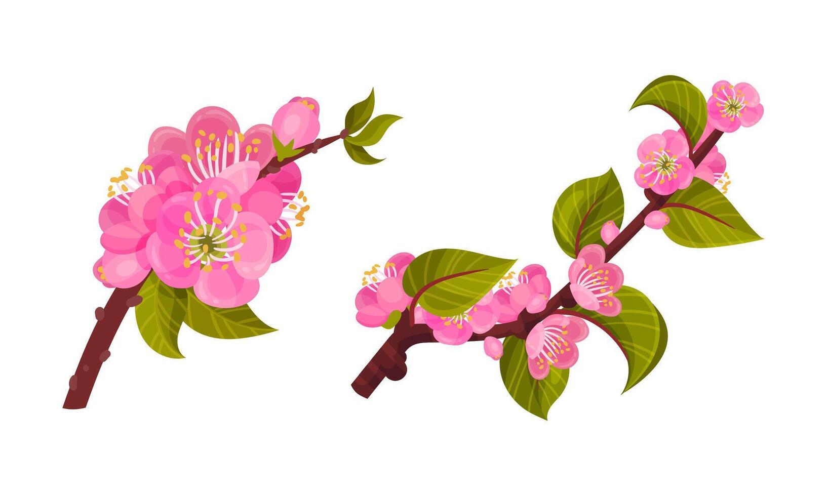 Blooming Apricot Tree Branch with Pink Flower Buds and Green Leaf Set vector