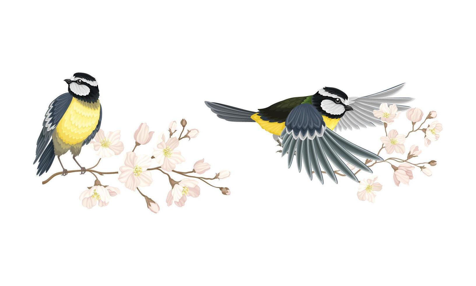 Tit bird and blooming twig of sakura tree set cartoon illustration vector