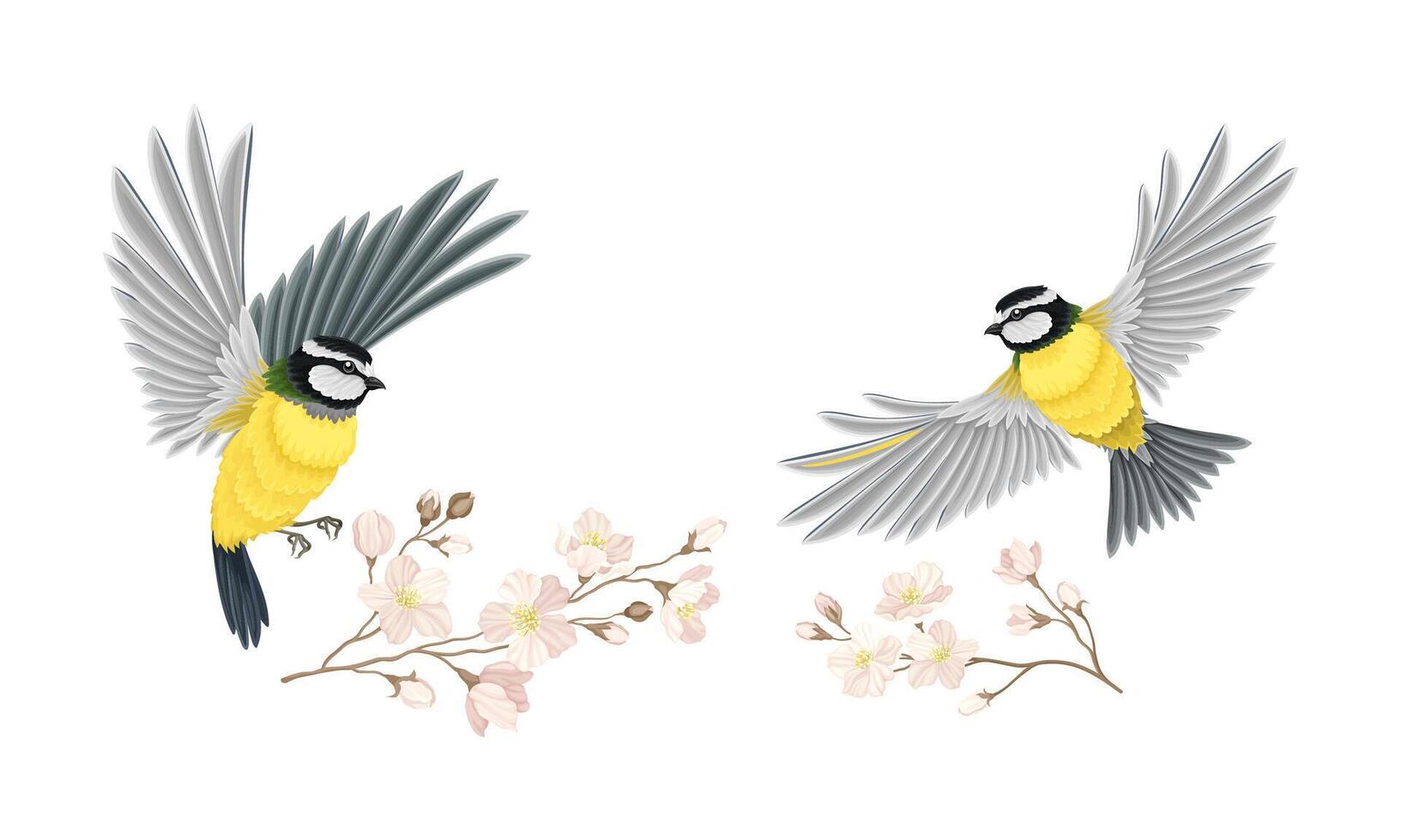 Small tit bird and blooming twig of sakura tree set. Symbol of spring cartoon illustration vector