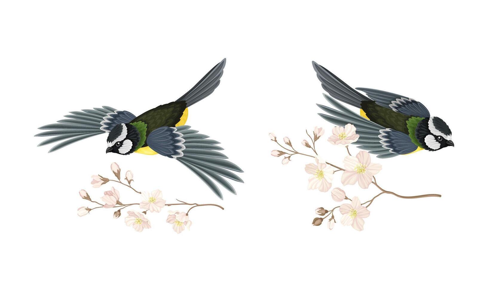 Titmouse bird and blooming twig of sakura tree set cartoon illustration vector