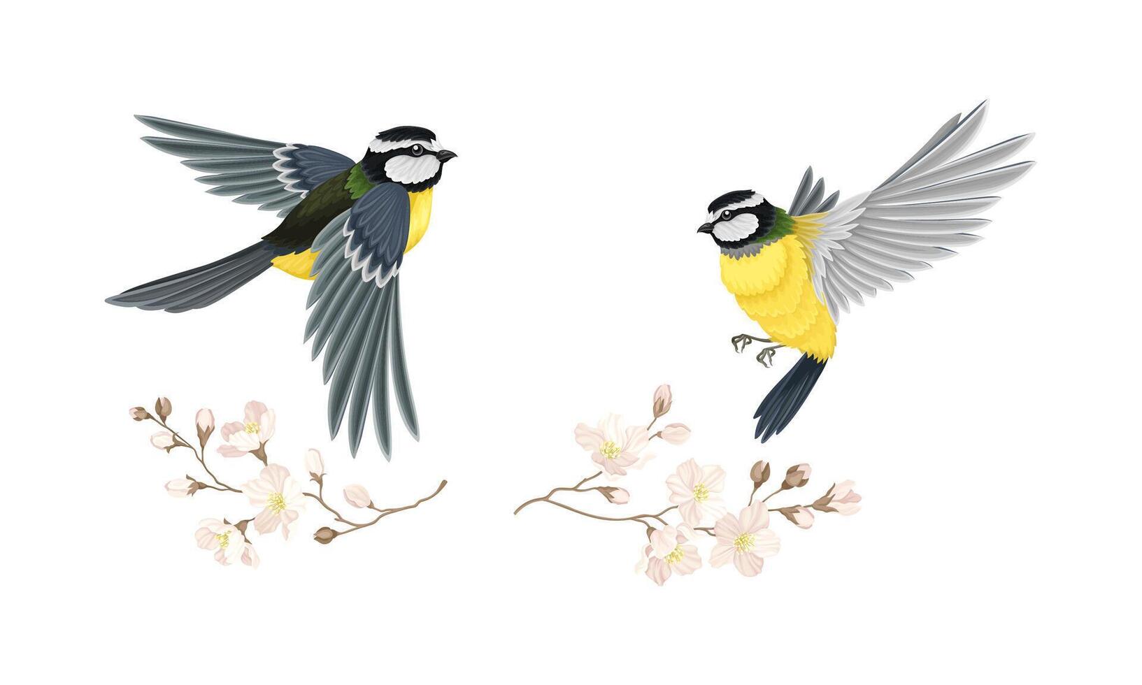 Tit bird flying towards blooming twig of sakura tree set cartoon illustration vector
