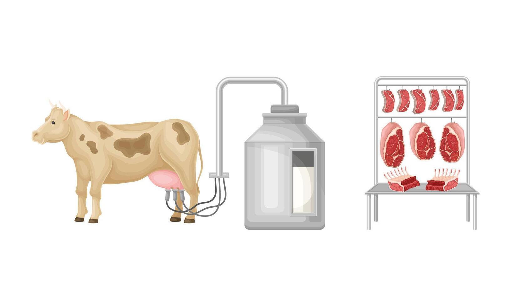 Meat and milk production process illustration on white background vector